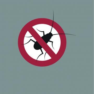 Stop aux insectes !