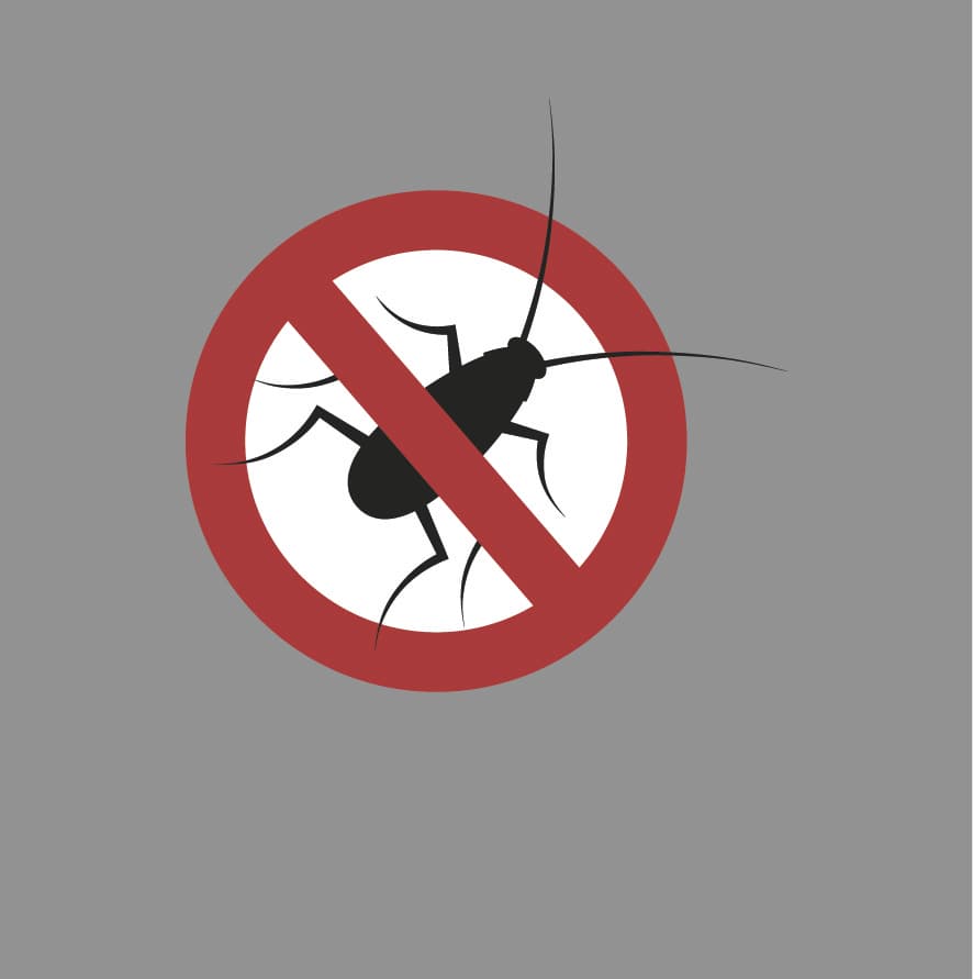 Stop aux insectes